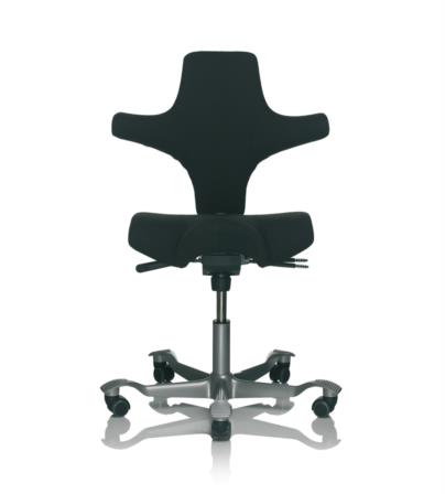 hag-capisco-8126a
